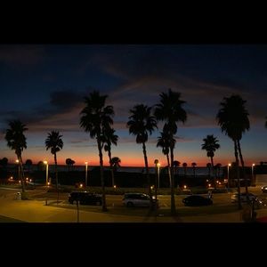 Meet your Posher, Camillle